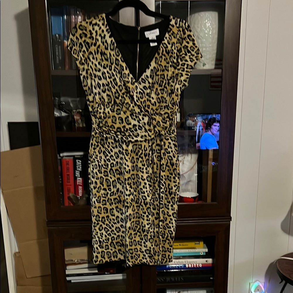 Leopard Print Wrap Dress